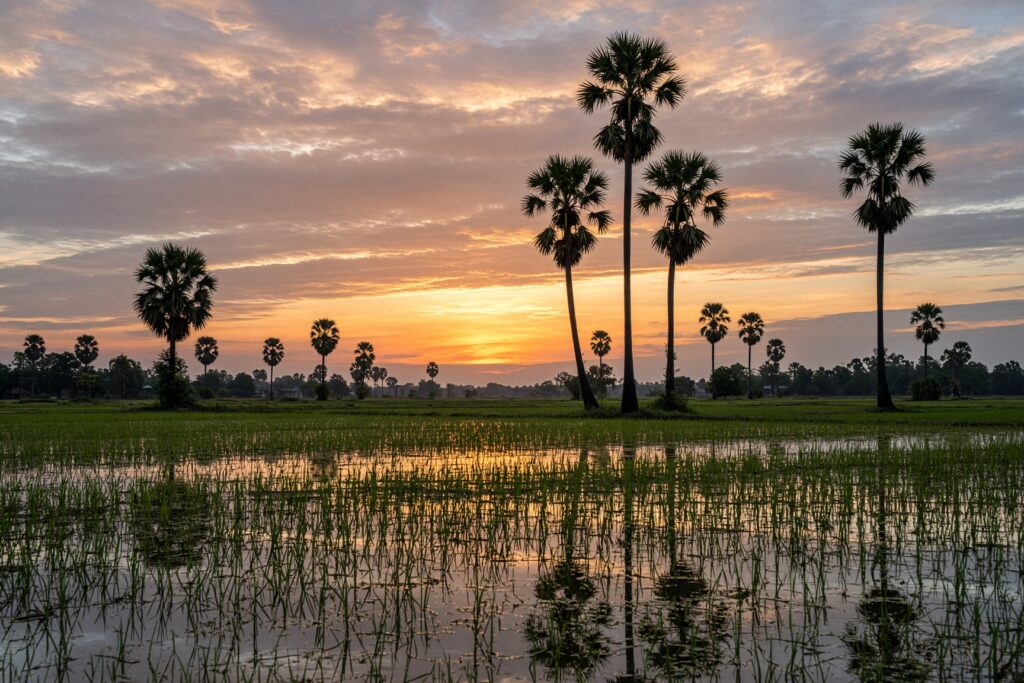 Siem Reap countryside
