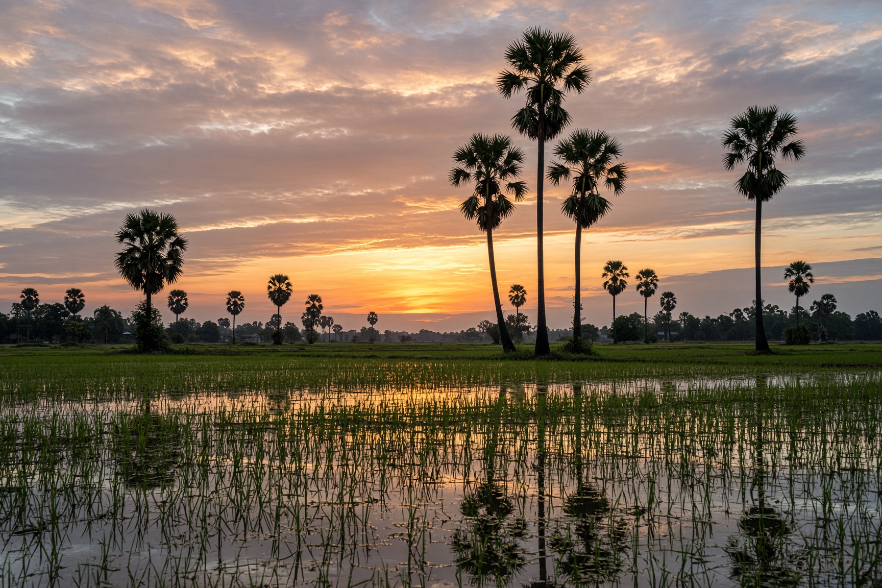 Siem Reap countryside, Cambodia